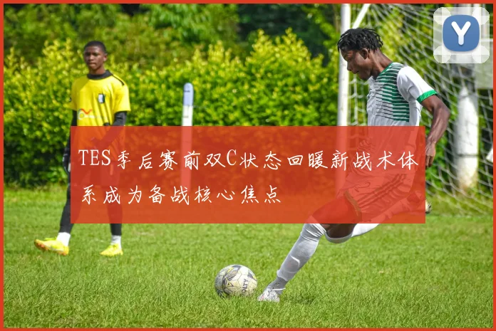 TES季后赛前双C状态回暖新战术体系成为备战核心焦点