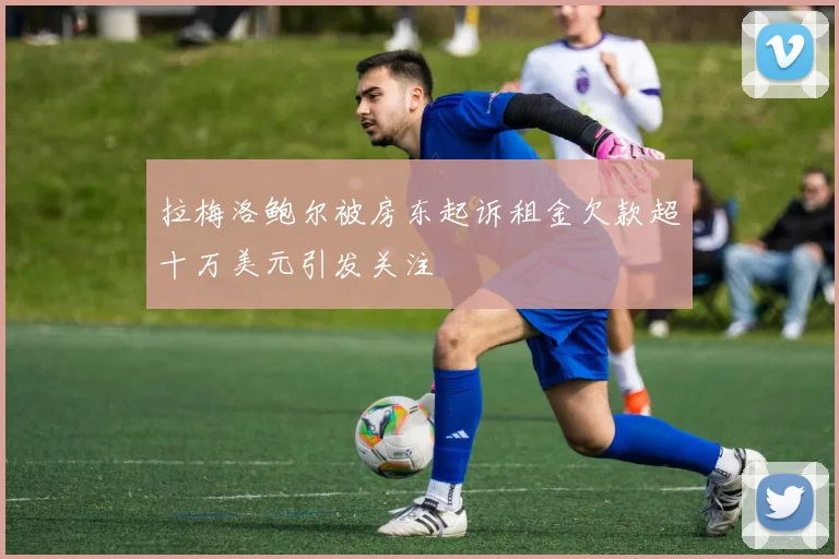 拉梅洛鲍尔被房东起诉租金欠款超十万美元引发关注