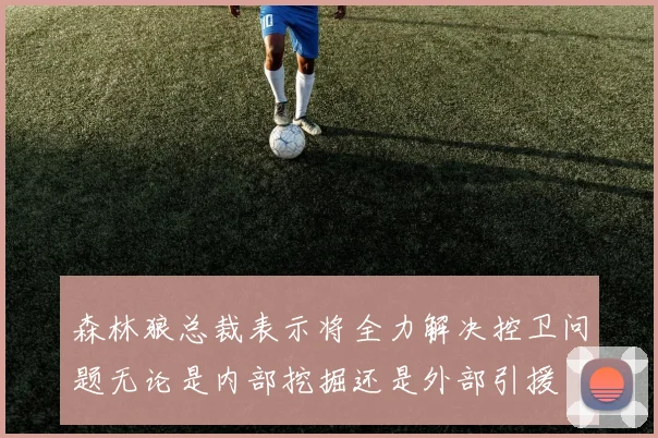 森林狼总裁表示将全力解决控卫问题无论是内部挖掘还是外部引援